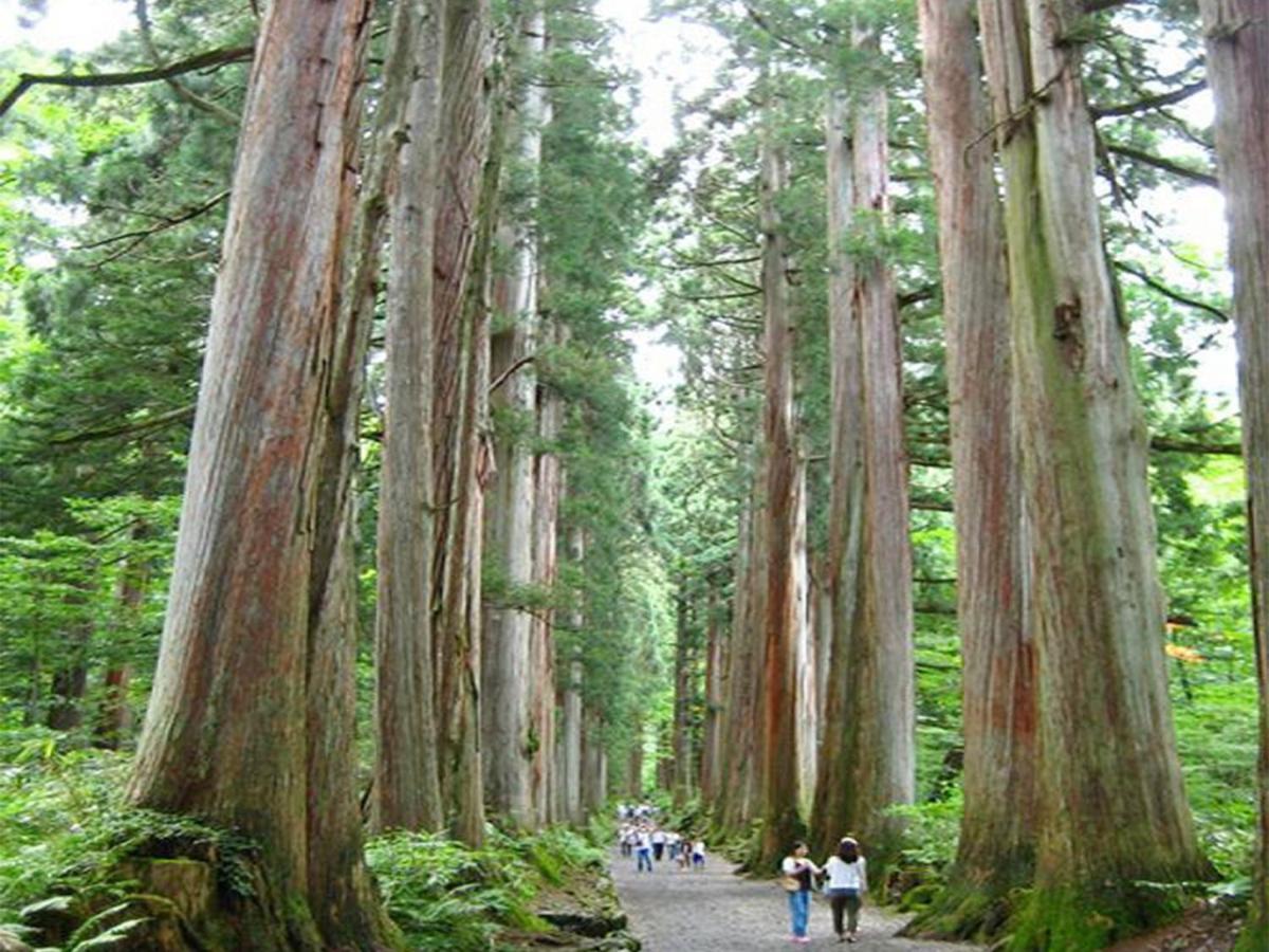 信州天空阿卡迪亚度假村 长野 外观 照片